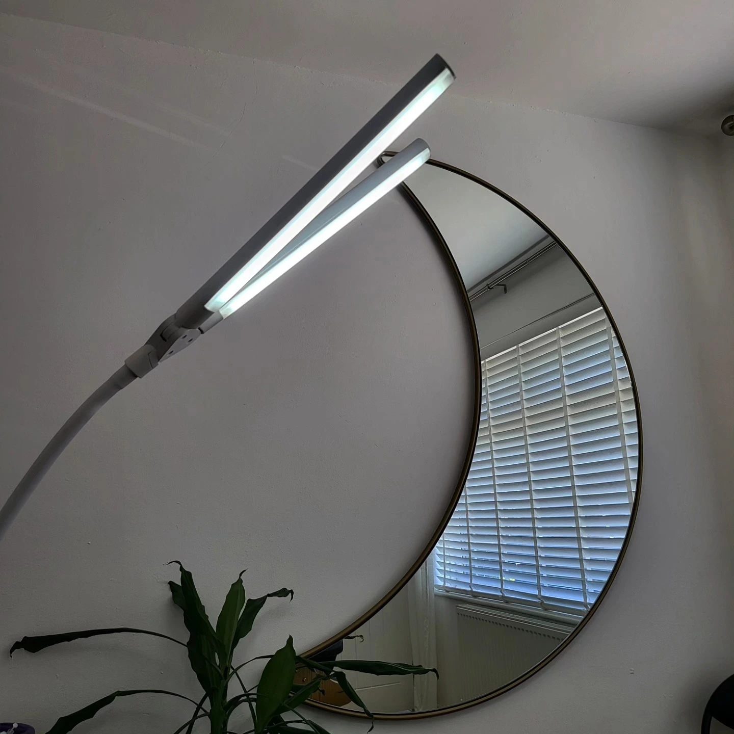 PurePlexion Aesthetics clinic interior